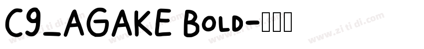 C9_AGAKE Bold字体转换